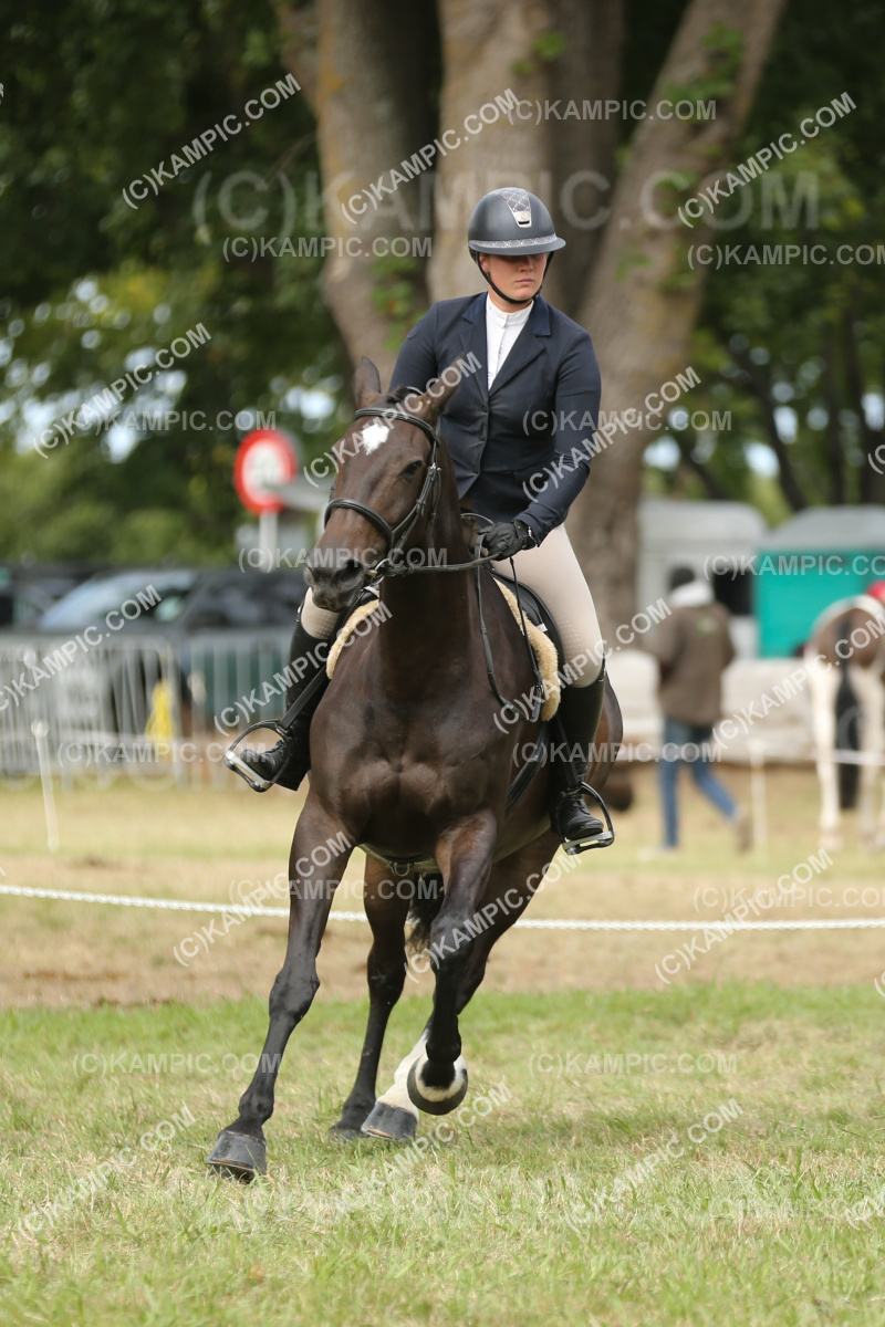 JW_250307_0050