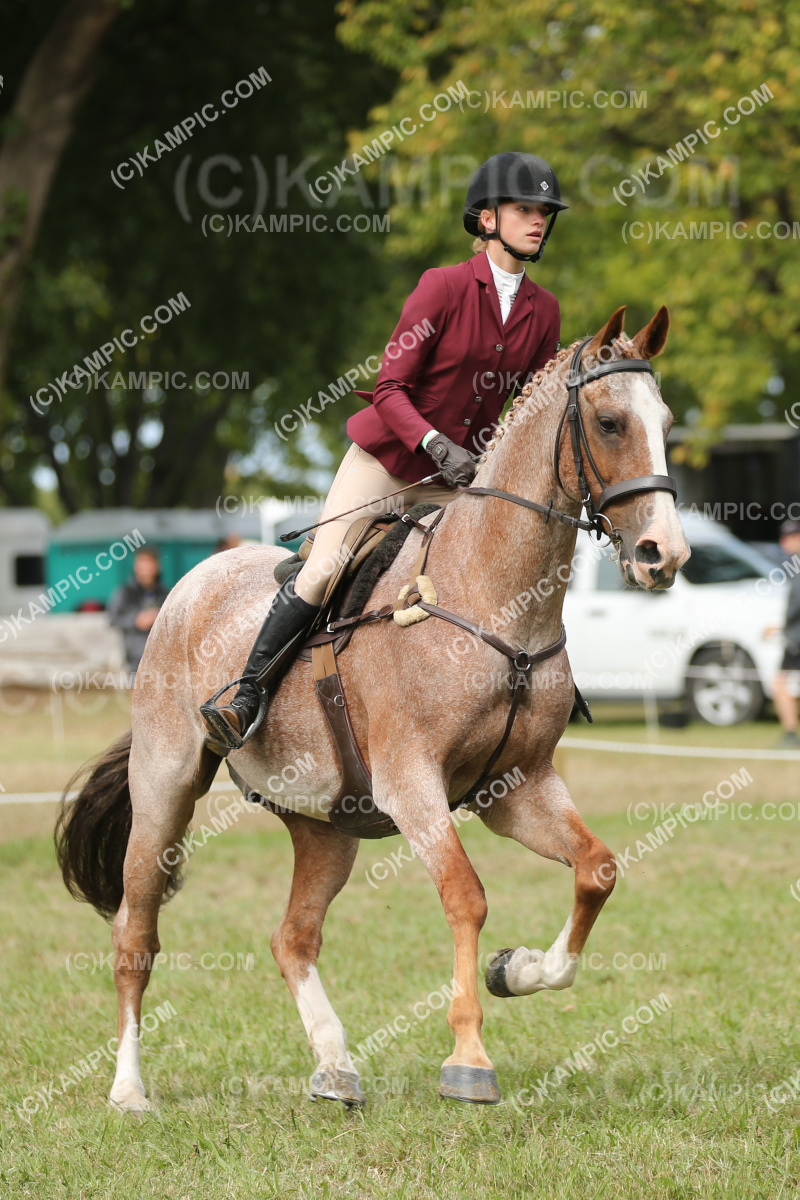 JW_250307_0067