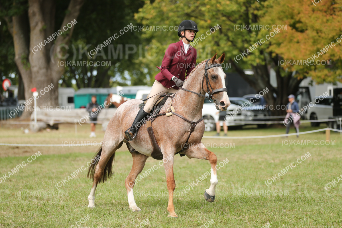 JW_250307_0068