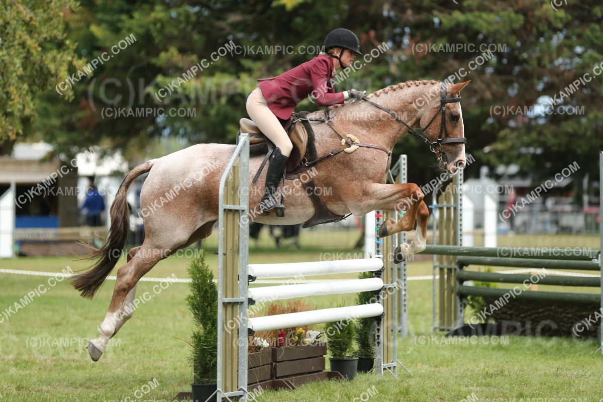 JW_250307_0084