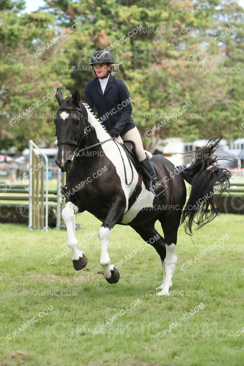 JW_250307_0163