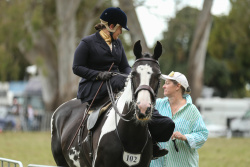 Side Saddle