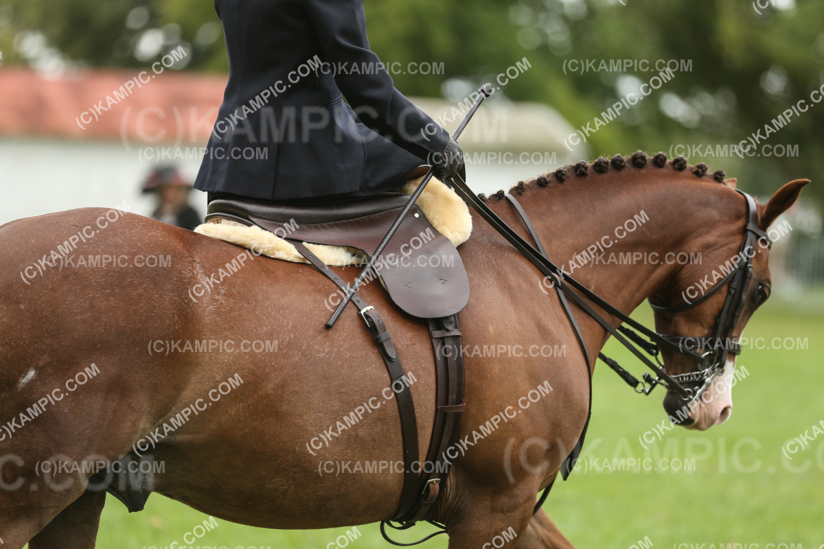JW_250308_0478