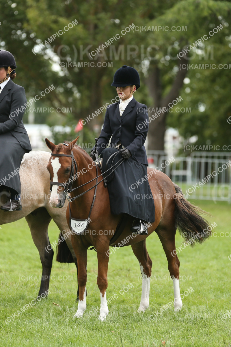 JW_250308_0480