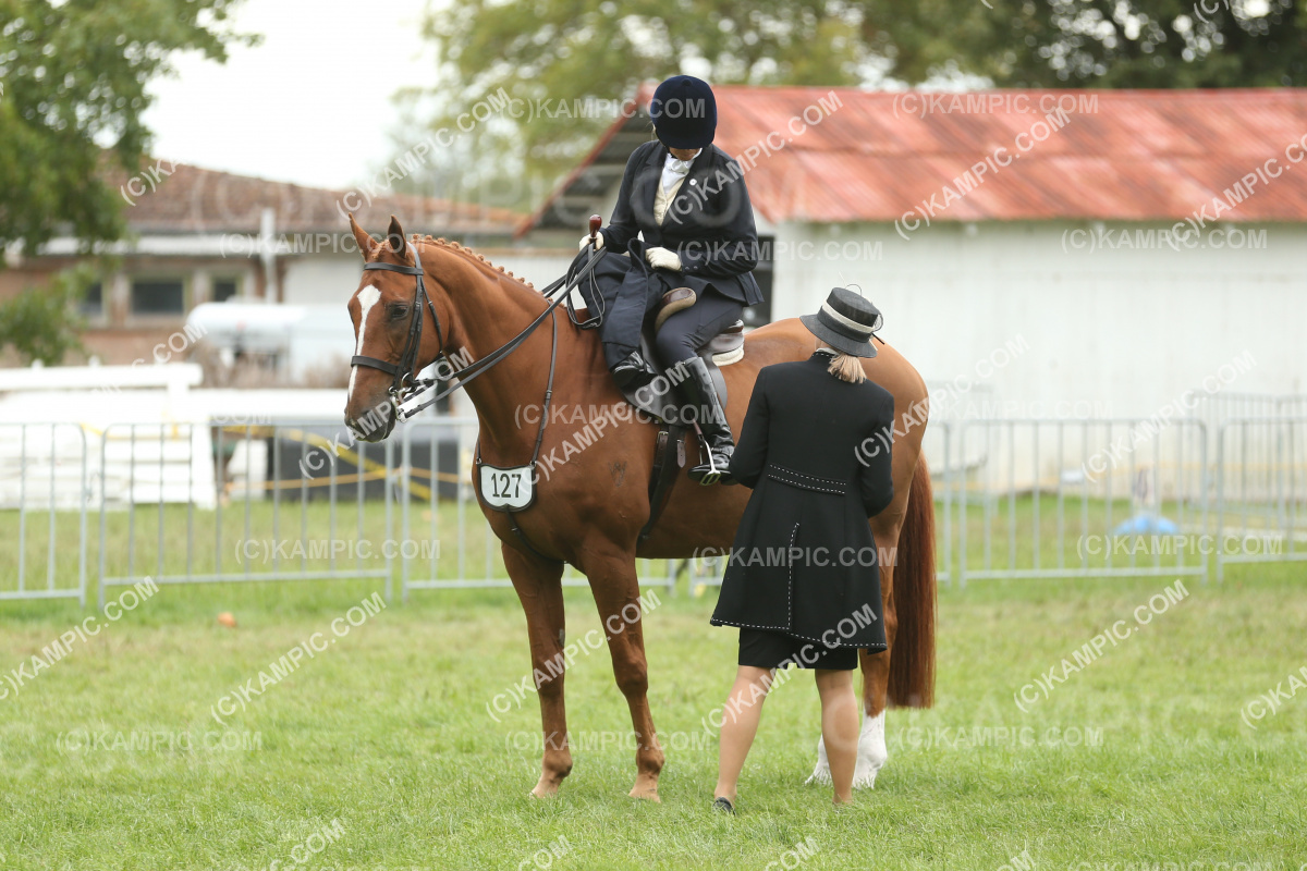 JW_250308_0482