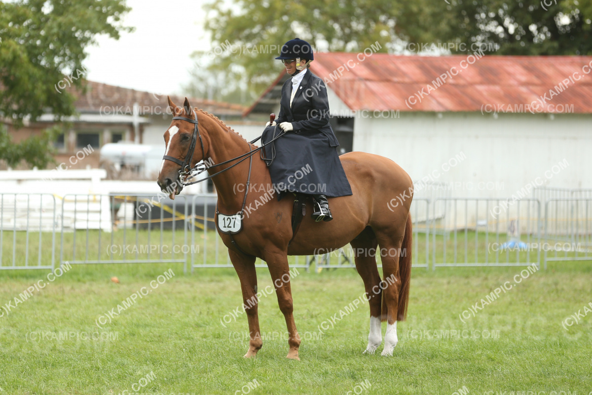 JW_250308_0483