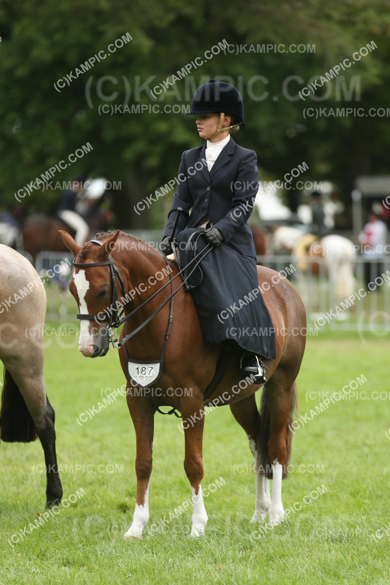 JW_250308_0487