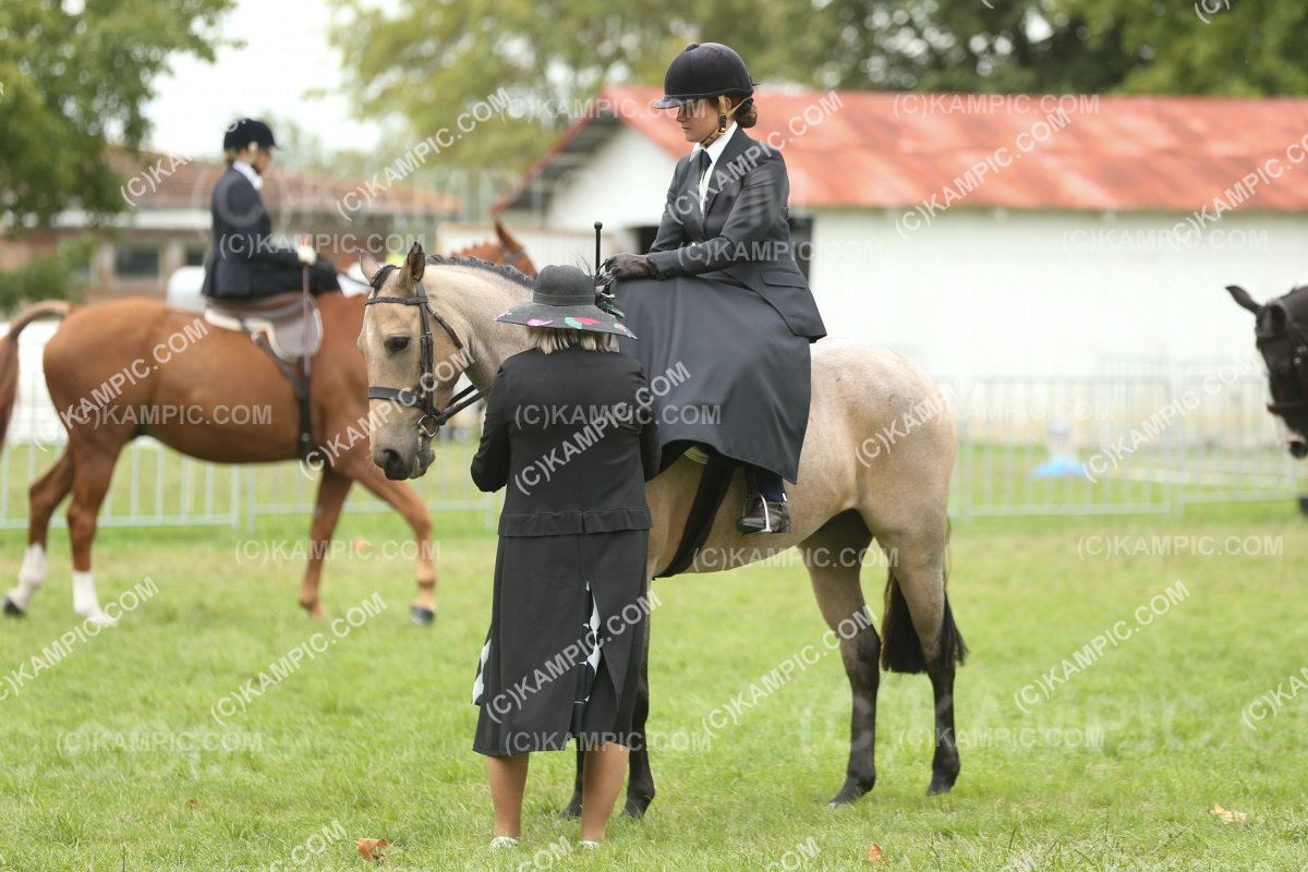 JW_250308_0501