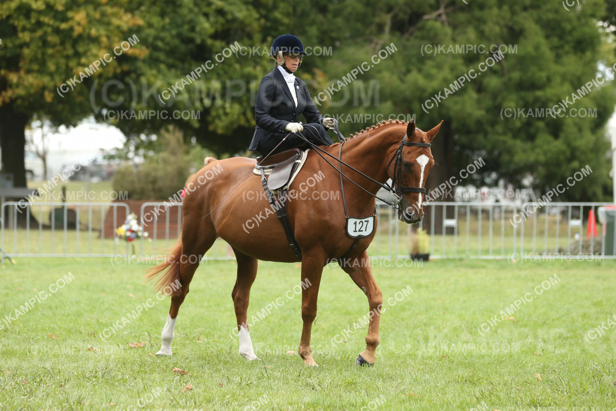 JW_250308_0514