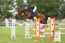 Defender CCI4* Show Jumping