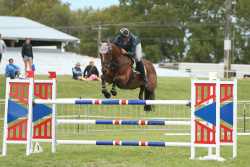 JW_250308_0601