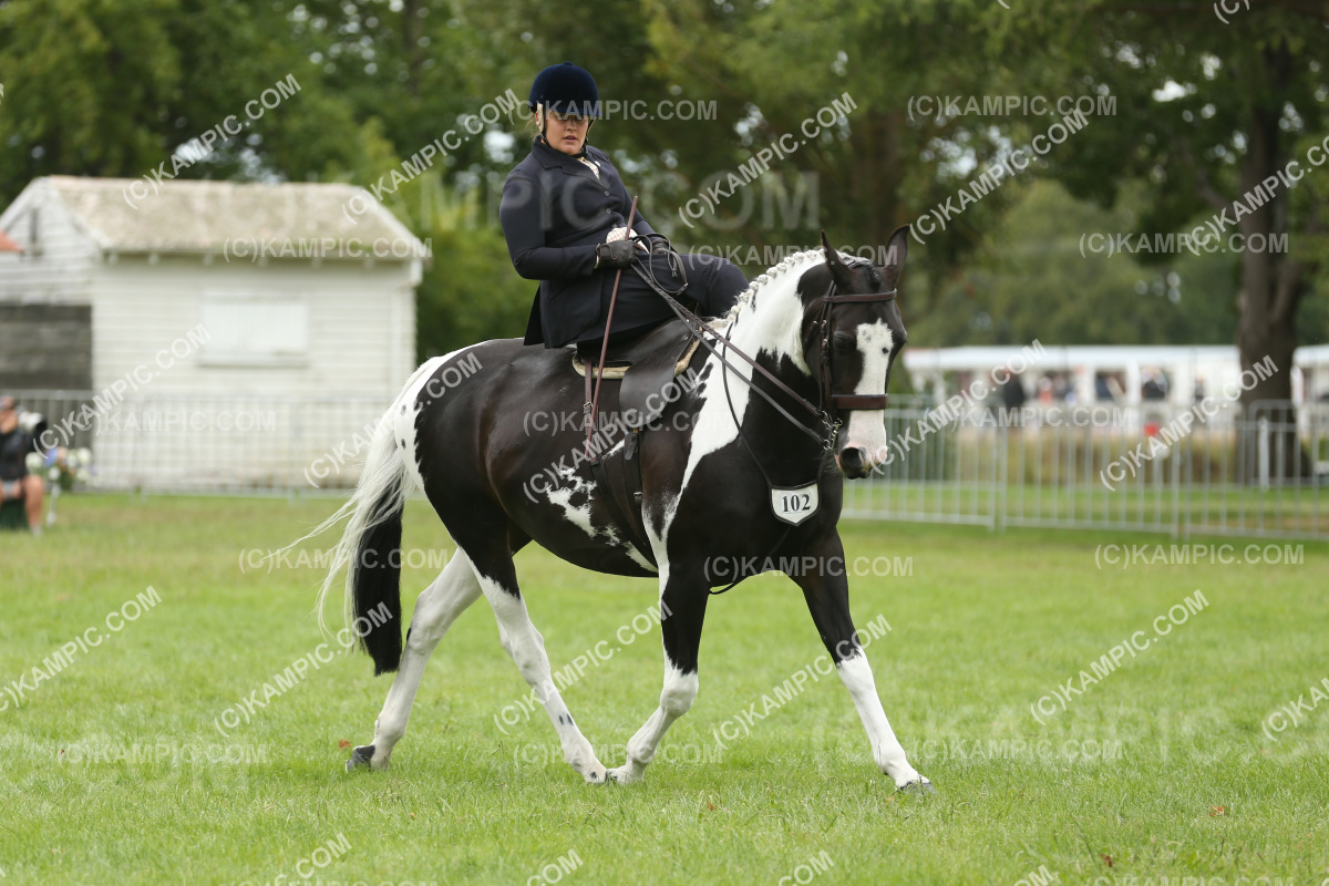 JW_250308_0525