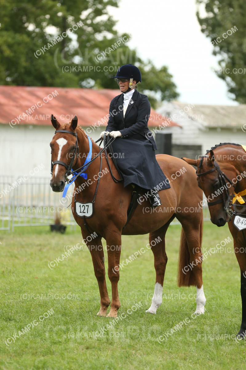 JW_250308_0536