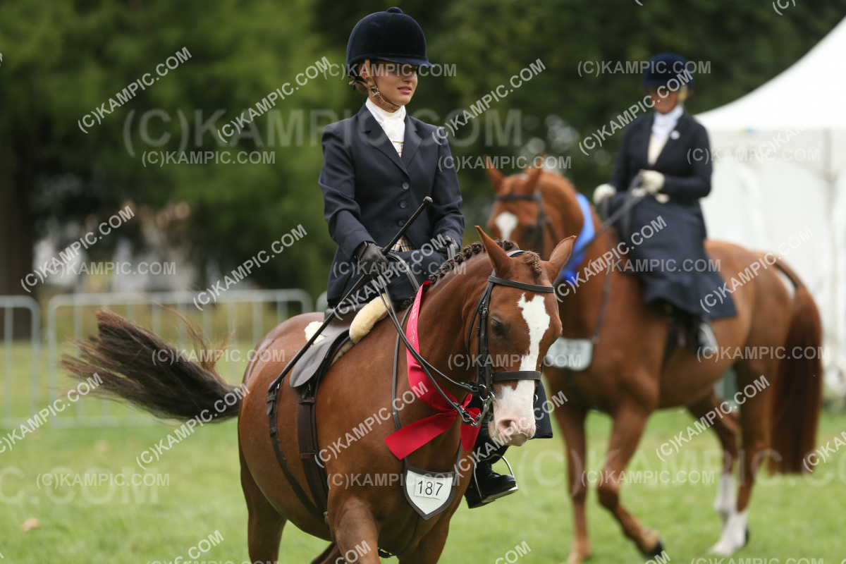 JW_250308_0538