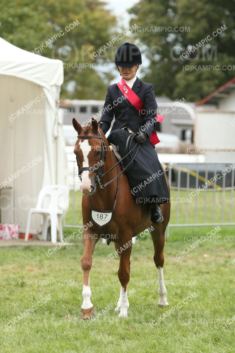 JW_250308_0558