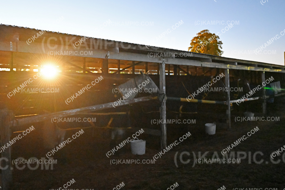 KM_250309_0024