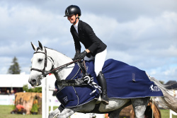 Speed Horse of the Year