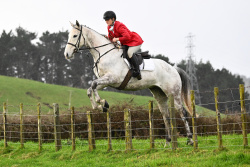 Mahia Closing Hunt 2025