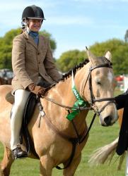 Working Hunter Pony