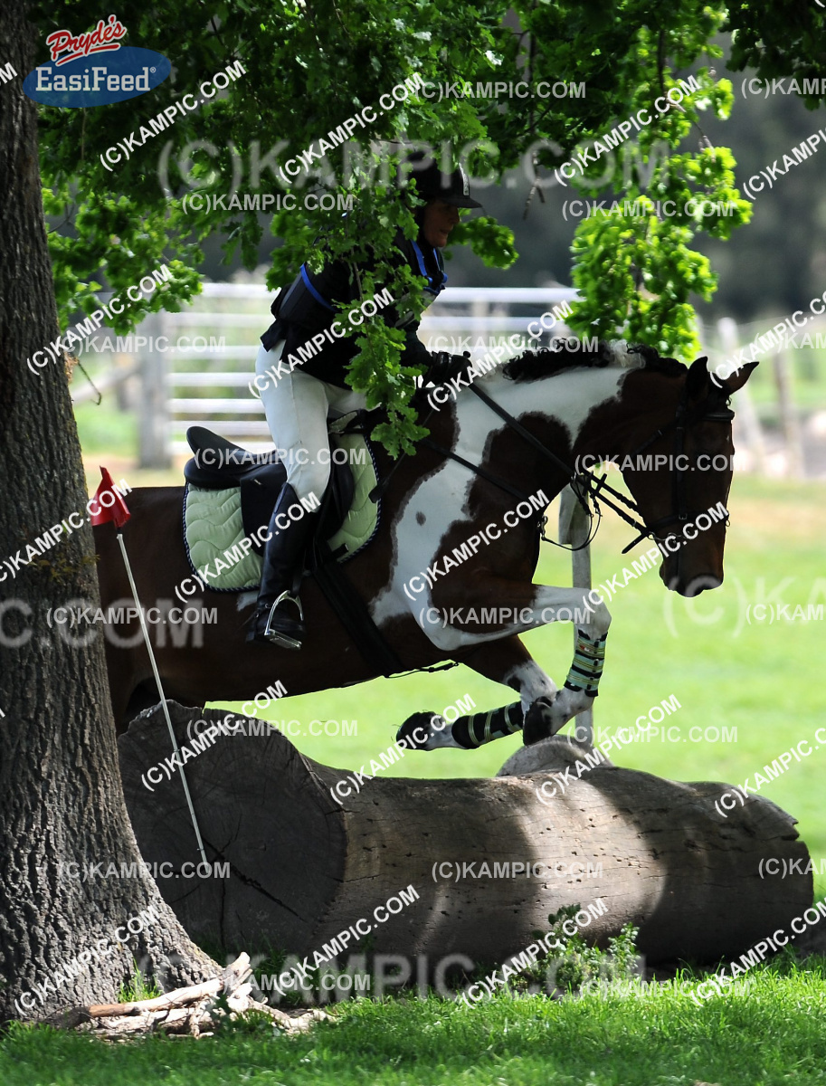 SL_120123_0493
