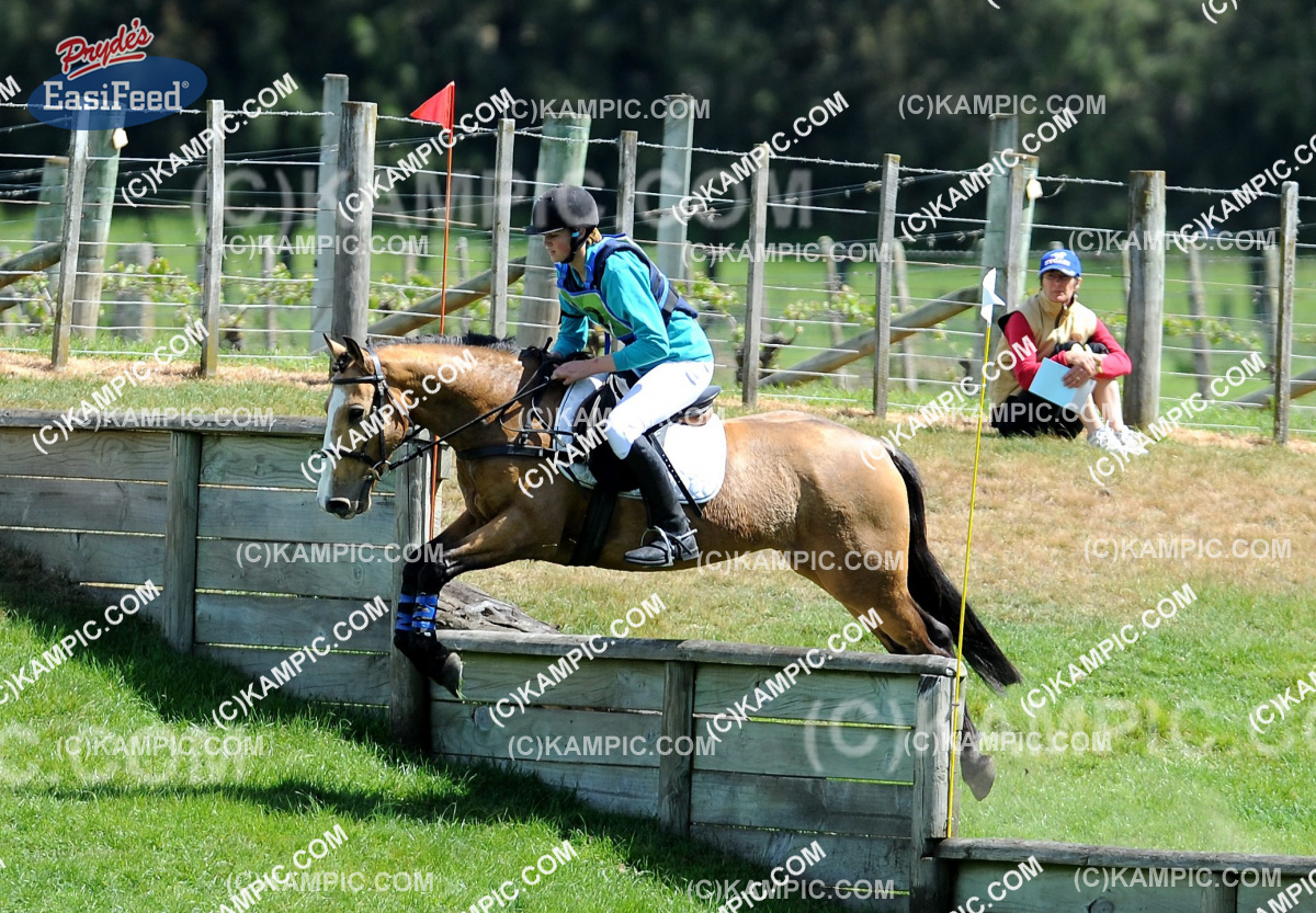 SL_120123_0582