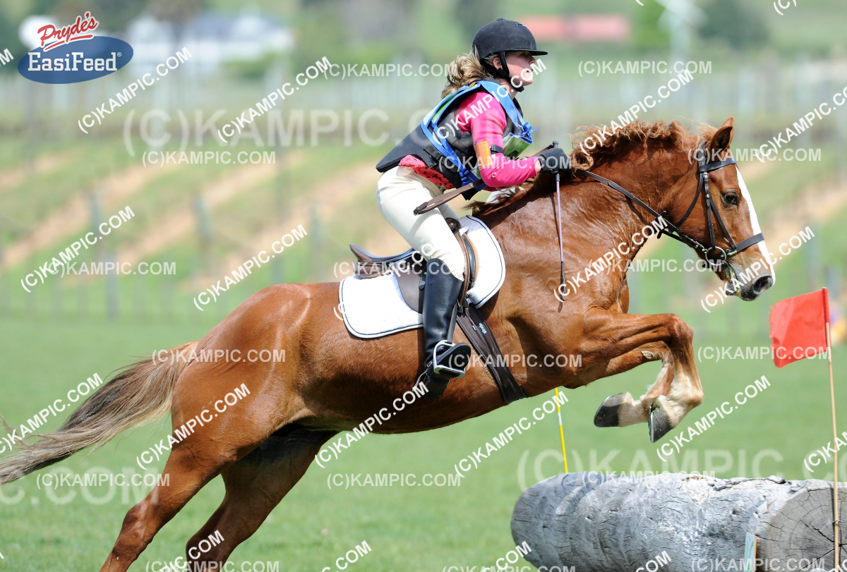 SL_120123_0607