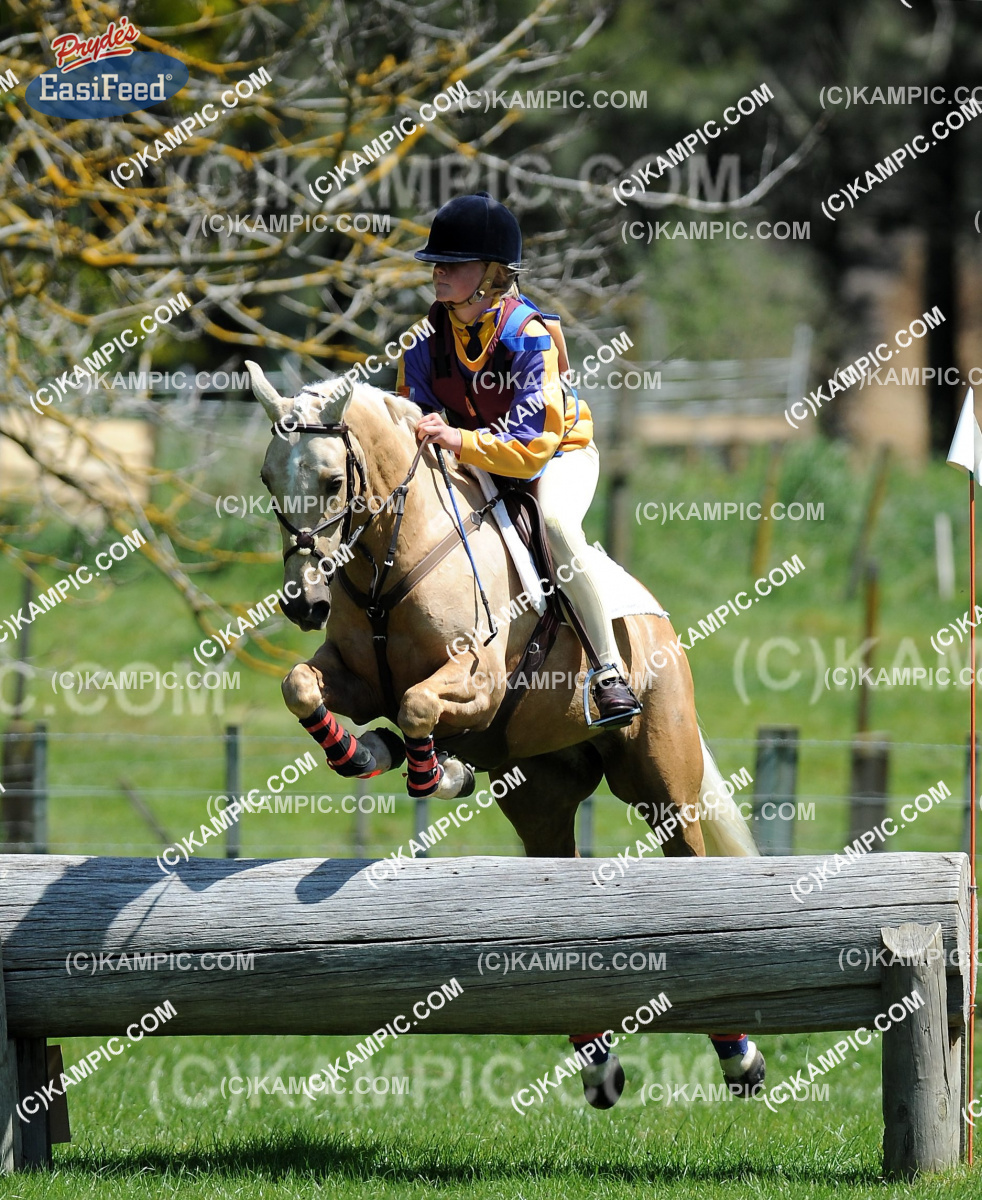 SL_120123_0869