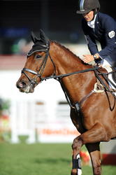 Eventing Show Jumping