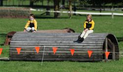 Showjumping