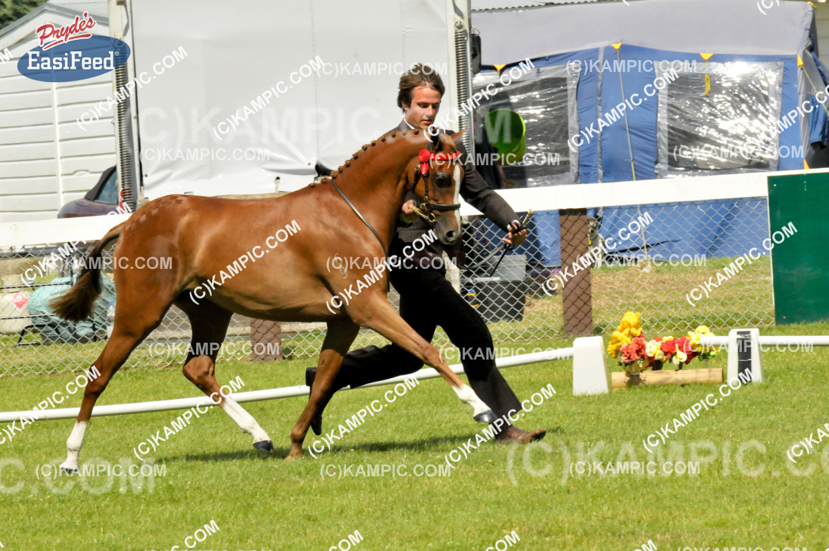 SUPPLIED_120113_149