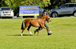 SUPPLIED_120113_171