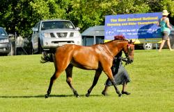 SUPPLIED_120113_172