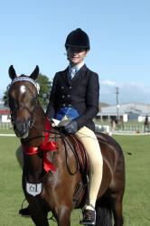 Melville Black Newcomer Novice Ponies