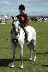 Junior Rider and Equitation