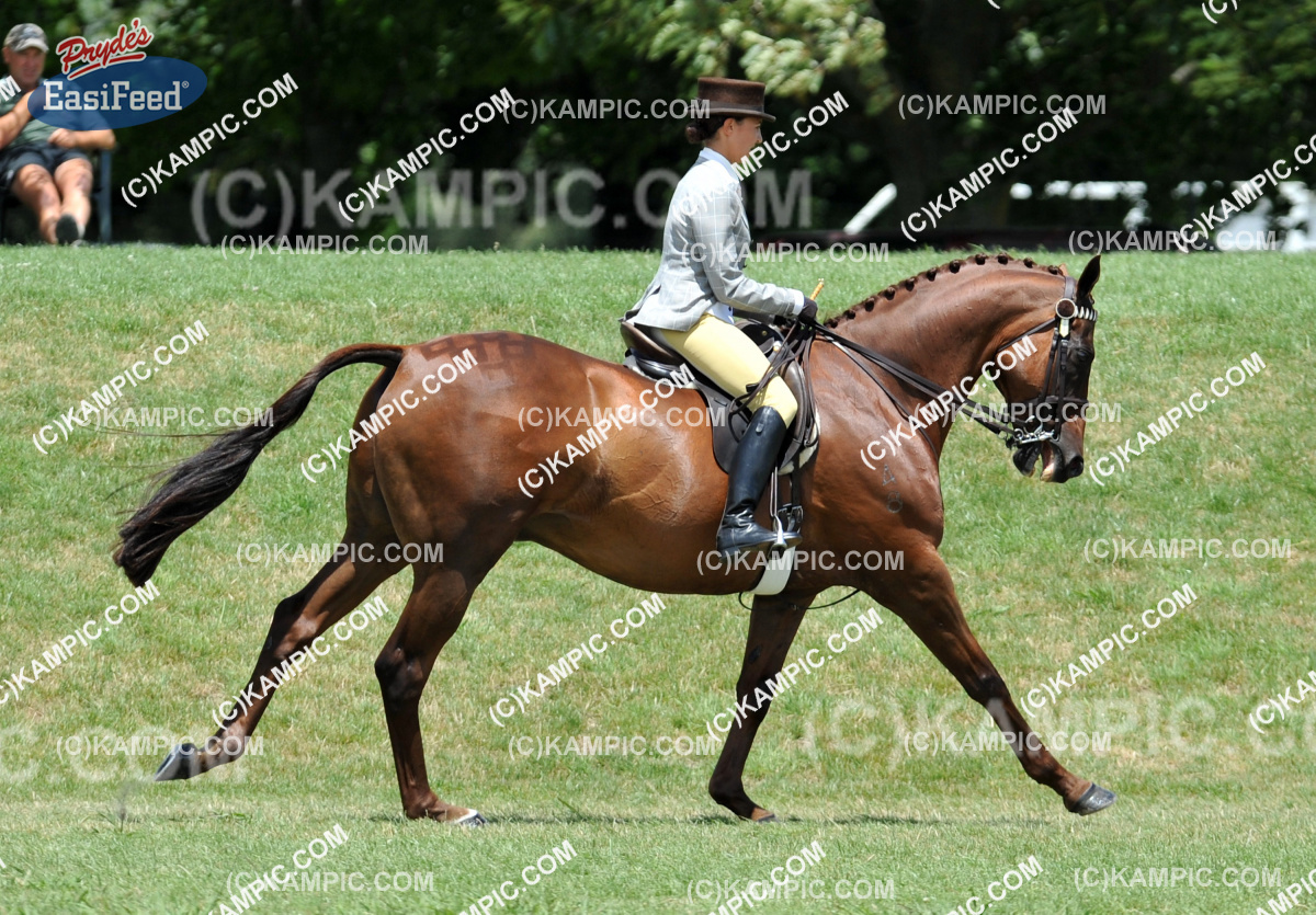 SL_120115_259