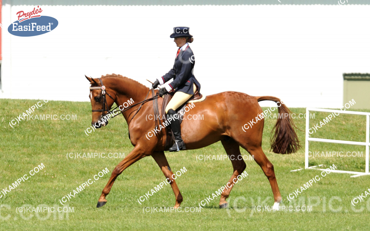SL_120115_891