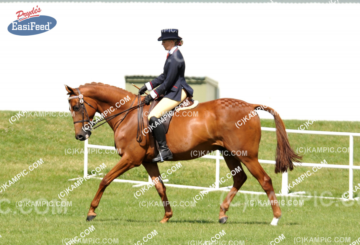 SL_120115_892