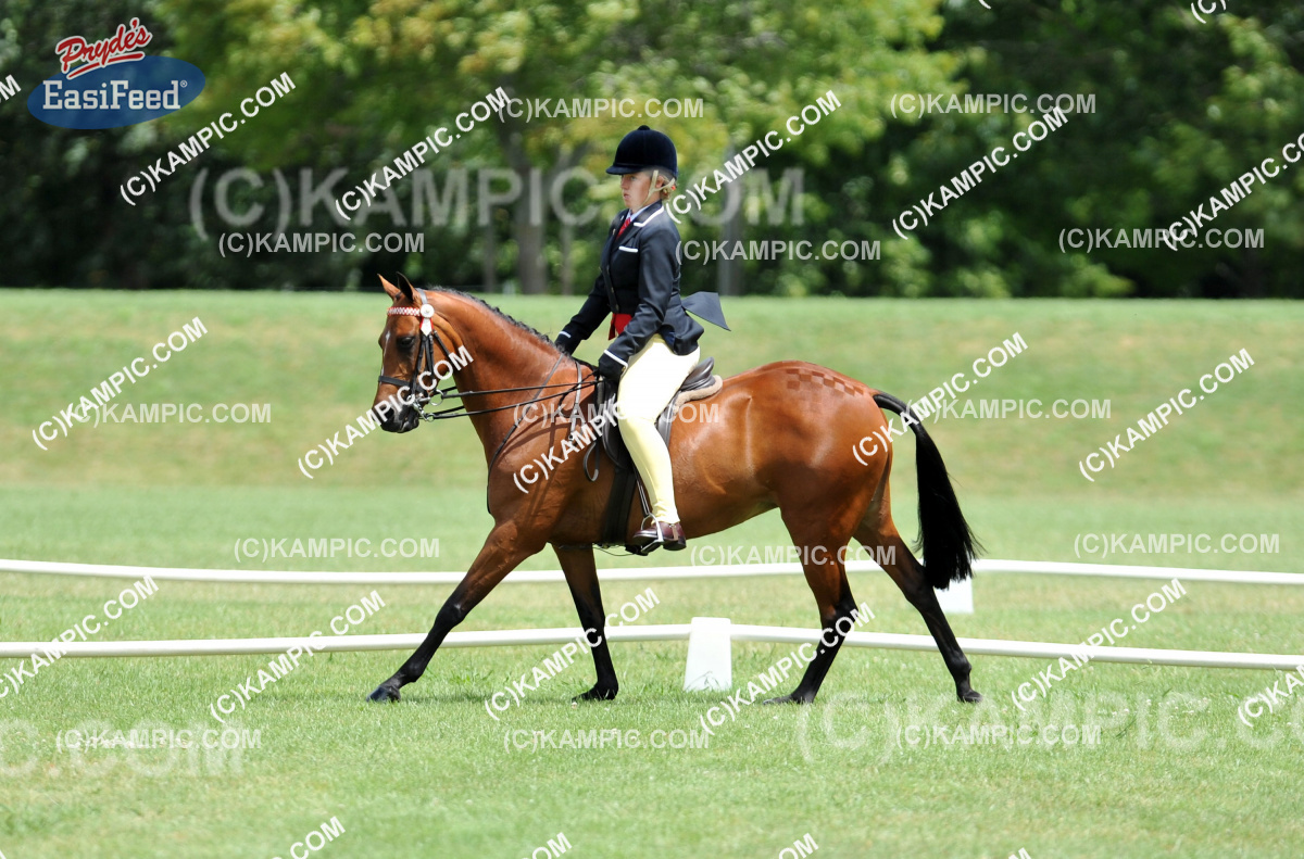SL_120115_067
