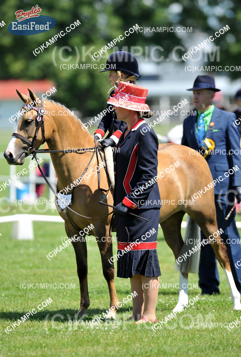 SL_120112_2011