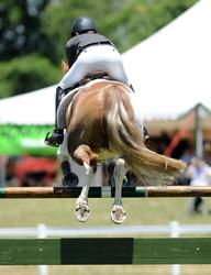 Pony Grand Prix