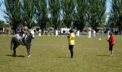 Pony Round the Ring