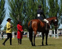 Working Hunter Pony