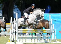Horse 1.10m
