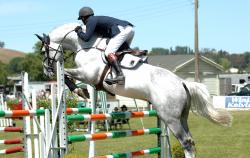 Horse 1.30m