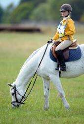 Dressage and Showjumping