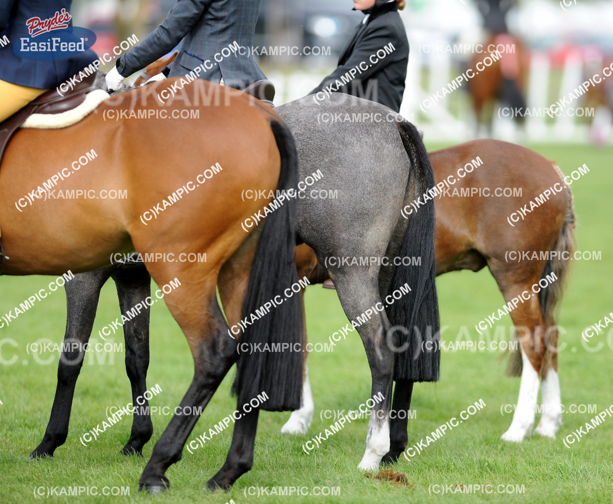 SL_131019_613