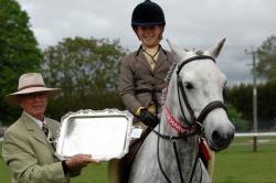 Working Hunter Pony