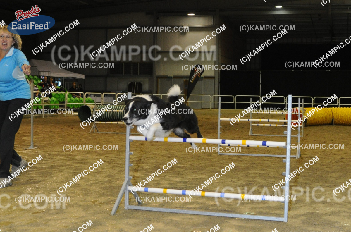 KM_130412_2199