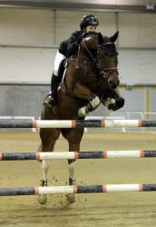 Horse Grand Prix