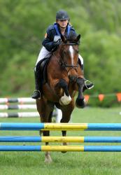 Showjumping